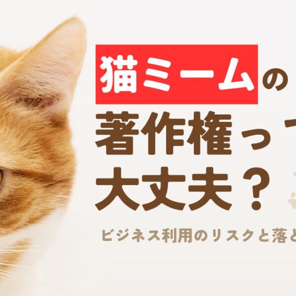 cat-meme