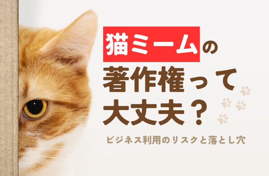 cat-meme